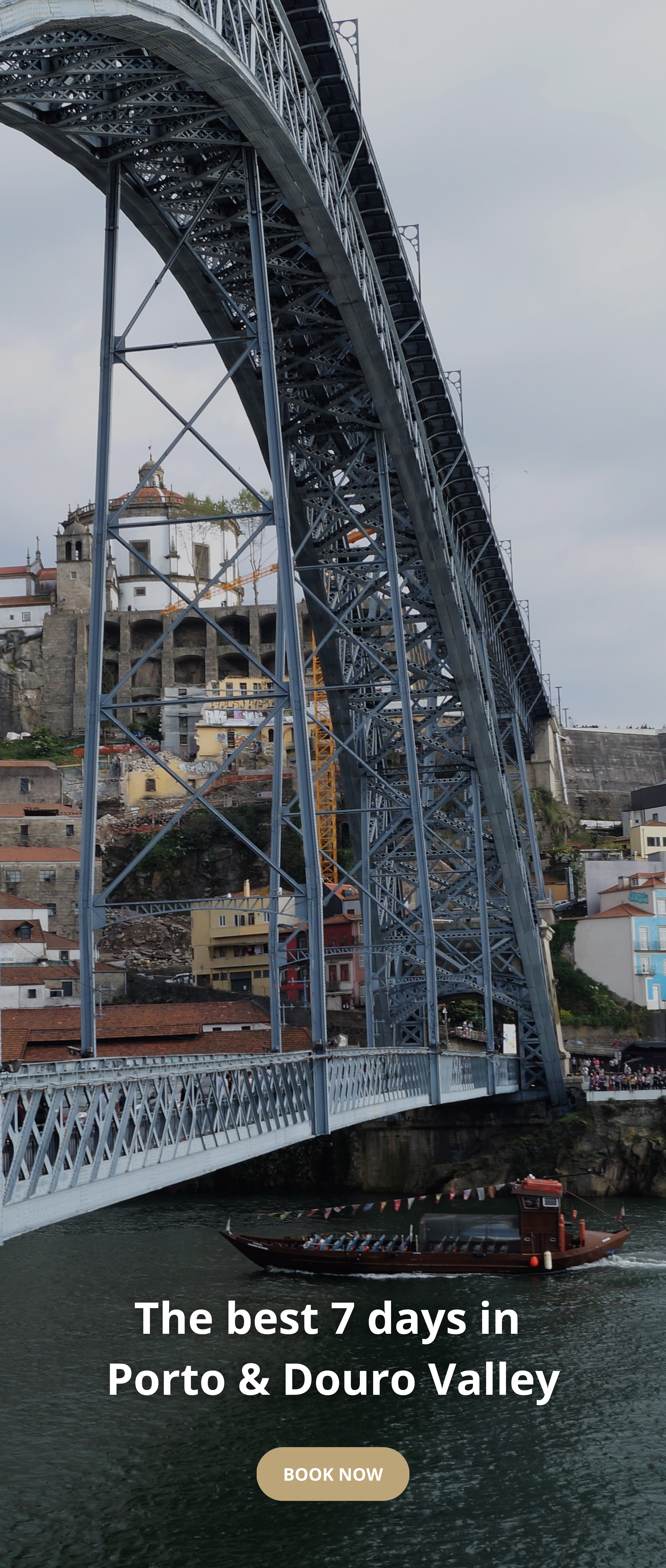 Dom Luis Bridge I