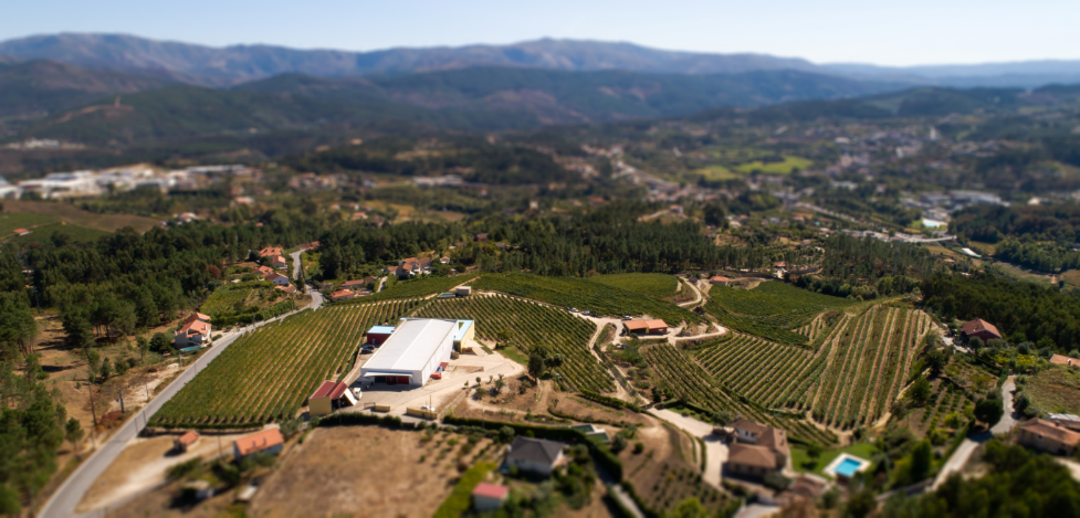 Quinta de Santa Cristina